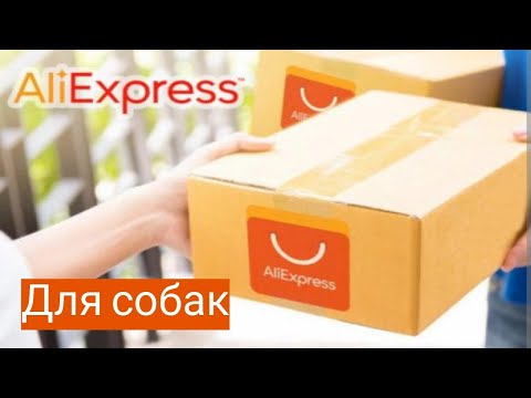 Видео: Распаковка посылок для собак с AliExpress