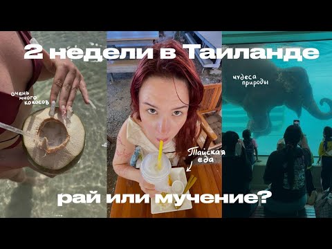 Видео: МОЁ ПЕРВОЕ ПУТЕШЕСТВИЕ: 2 недели в Таиланде