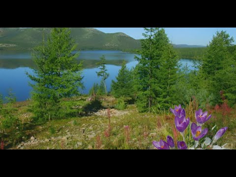 Видео: КОЛЫМСКИЕ ИСТОРИИ