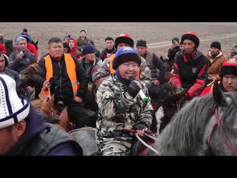 Видео: Улак Ана Кызыл 30 10 2022