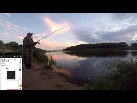 Видео: Первая рыбалка с эхолотом практик 7 wi-fi на реке Дон.