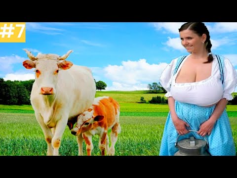 Видео: Я ржал до слез 😂 20 Минут смеха 2025 Смешные видео Приколы с животными!Подборка #7 Угарное видео