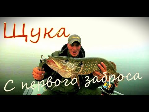 Видео: Удачная рыбалка на спиннинг осенью 2019. Поймал с первого заброса. Примета не сработала