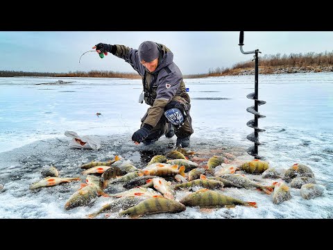 Видео: КОНИ НЕ ДАЮТ ОПУСКАТЬ! ТУТ РЫБЫ БОЛЬШЕ ЧЕМ ВОДЫ! УСТАЛИ ЛОВИТЬ!