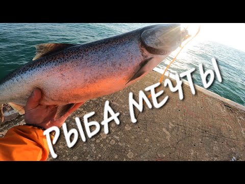 Видео: Ловля Лосося с берега на озере Мичиган. США, пригород Чикаго.