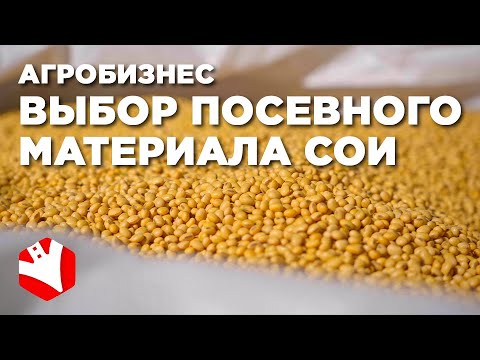 Видео: Выбор посевного материала сои | КФХ Гриднев