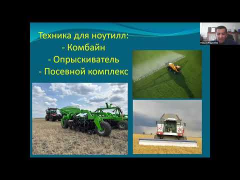 Видео: немного о ноутилл