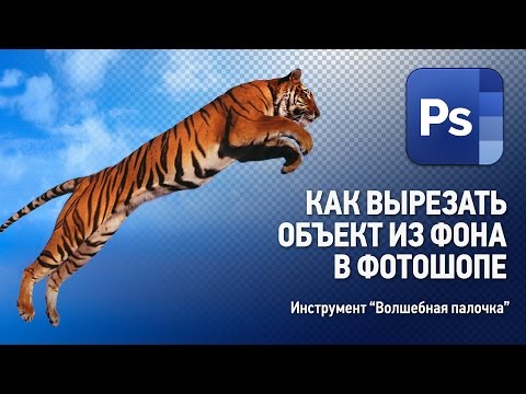 Видео: Как убрать фон в Фотошопе. Инструмент "Волшебная палочка" на неоднородном фоне. Уроки Фотошопа.