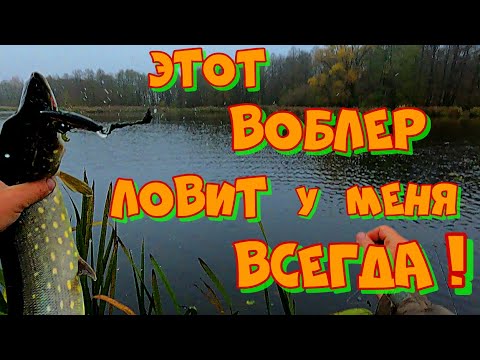 Видео: ЭТОТ ВОБЛЕР  СПАС Мою РЫБАЛКУ ! Ловля ЩУКИ на СПИННИНГ с Лодки .