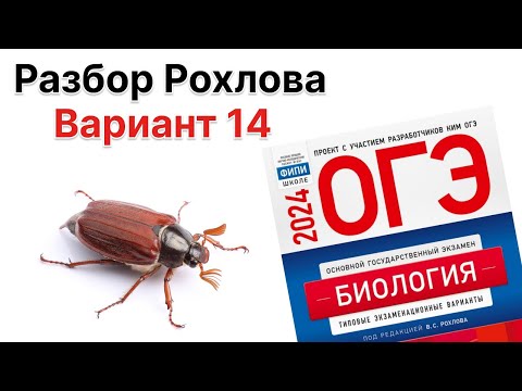 Видео: Разбор 14 варианта Рохлова 2024 г. | ОГЭ по БИОЛОГИИИ