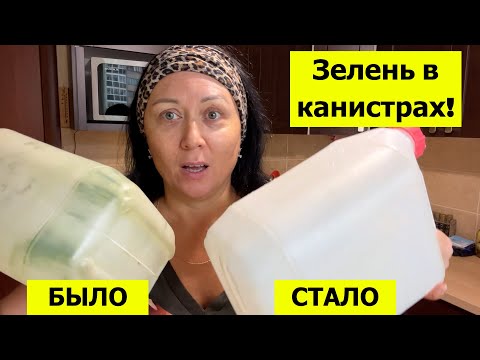 Видео: Отмыла канистры от зелени! Как и что использую. Делюсь опытом