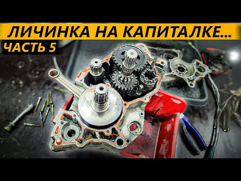 Видео: Личинка демона 5 / Xотел ее разыграть, но случилось ЭТО...