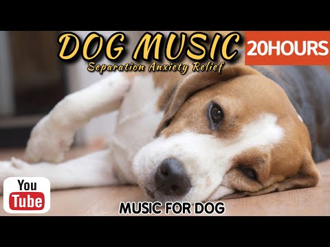 Видео: 20 часов любимой музыки собак🐶💖Музыка для сна собак 🐶🎵 Музыка для снятия беспокойства при разлуке🎵