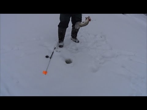 Видео: Зимняя рыбалка декабрь 2022г. Кемпинг Косачи!