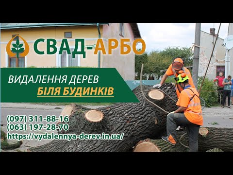 Видео: Спил дерева в аварийном состоянии: удаление трухлявого дуба по частям, услуги арбористов