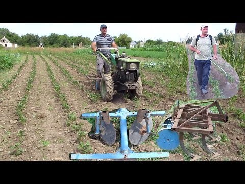 Видео: Культивация и окучивание картофеля - вторая посадка!
