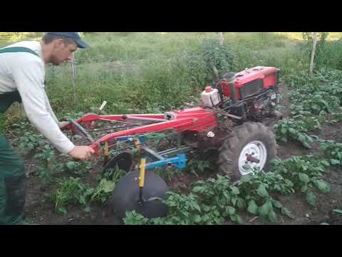 Видео: Мотоблок Forte HSD1G-81 и культиватор для окучивание картофеля. Второе окучивание.