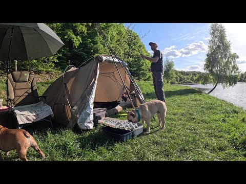 Видео: Сімейна РИБАЛКА З НОЧІВЛЕЮ..Тиша, ВУДКИ, вечеря НА ВОГНІ і ранок з кавою