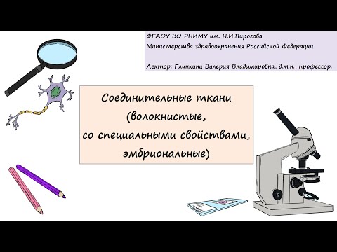 Видео: Гистология. Глинкина В.В. РНИМУ им. Н.И.Пирогова (9 тема)