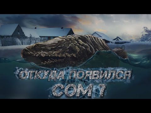 Видео: ФАКТЫ, КОТОРЫЕ ВЫ МОГЛИ НЕ ЗНАТЬ О ВОЛГЕ, Metro Exodus