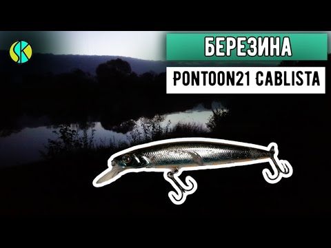 Видео: ЩУКА РАЗРЫВАЕТ воблер Pontoon21 Cablista 90 | Рыбалка на спиннинг на Березине 2021