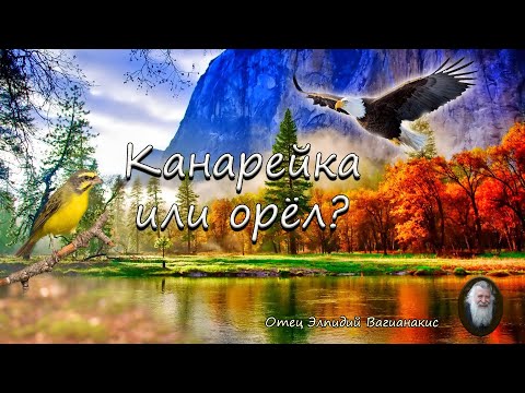 Видео: Отец Элпидий Вагианакис: Канарейка или орёл?