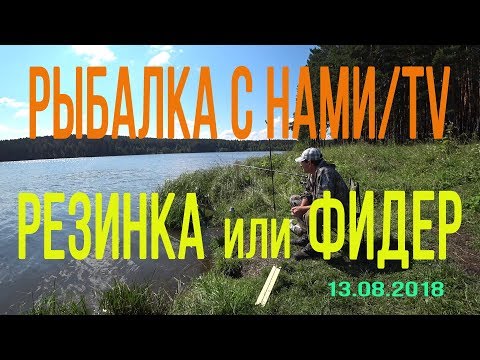 Видео: РЕЗИНКА против ФИДЕРА! НА ЧТО ЭФФЕКТИВНЕЕ ЛОВИТЬ РЫБУ! РЫБАЛКА НА УРАЛЕ!