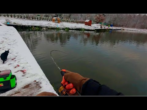 Видео: Ловля ФОРЕЛИ на спиннинг! БЕЗЛИМИТ ПИОНЕРСКИЙ Рыбалка на спиннинг