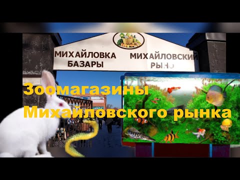 Видео: Обзор зоомагазинов Михайловского рынка Караганды 2022 #караганда #рынок #зоомагазин #аквариумистика