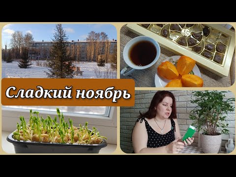 Видео: Любимые настольные игры❄️Конфеты из Красно Белого🍬Помощь при вирусах🥄