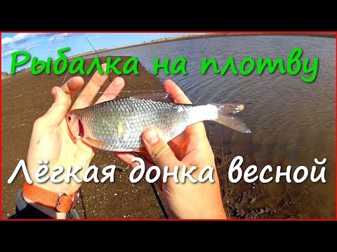 Видео: Ловля плотвы на лёгкую донку весной