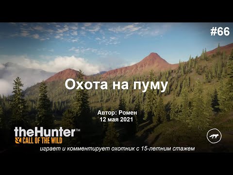 Видео: Охота на пуму в theHunter Call of the Wild (Silver Ridge Peaks)