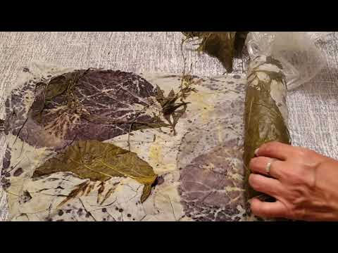 Видео: бадан