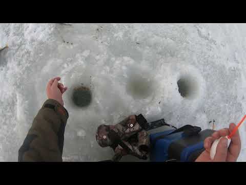 Видео: ОЗЕРО ЧАНЫ. ПЕРВЫЙ ЛЕД 2020-2021 (2 серия)