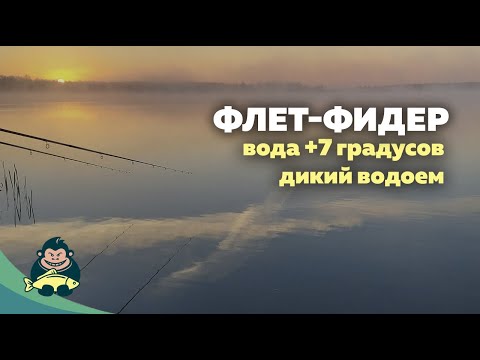 Видео: Ловля дикого карпа поздней осенью, ранней весной, вода 7 градусов. Флет-фидер.