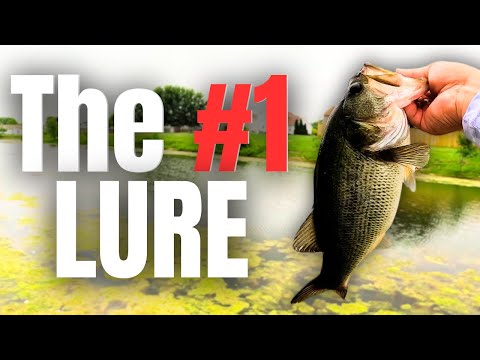 Видео: Я НИКОГДА НЕ ЛОВЛЮ РЫБУ С БЕРЕГА БЕЗ ЭТОЙ ПРИМАНКИ