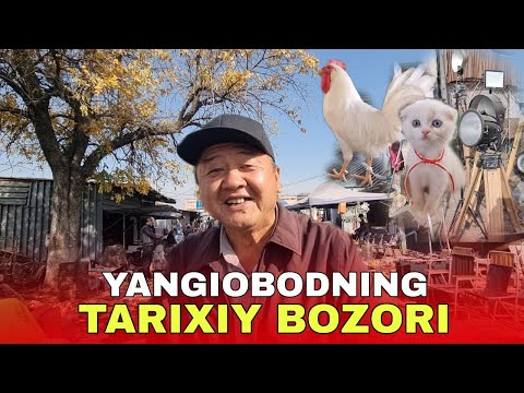 Видео: ТАРИХДАН “СЎЗЛОВЧИ” БОЗОР