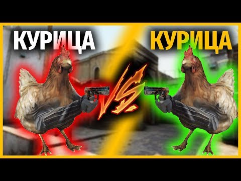 Видео: КУРИЦА против КУРИЦА в КСГО // КТО КРУЧЕ?
