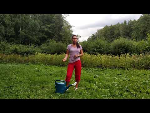 Видео: На огороде без боли (часть 1)