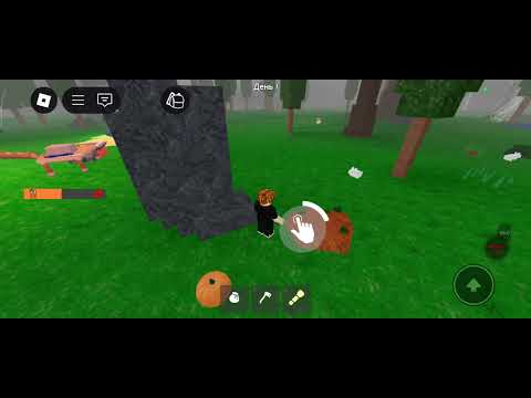 Видео: 27 октября 2025 г.