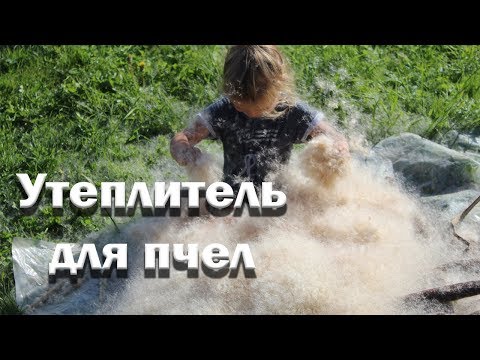 Видео: Природный утеплитель для пчел. Подушки из рогоза.