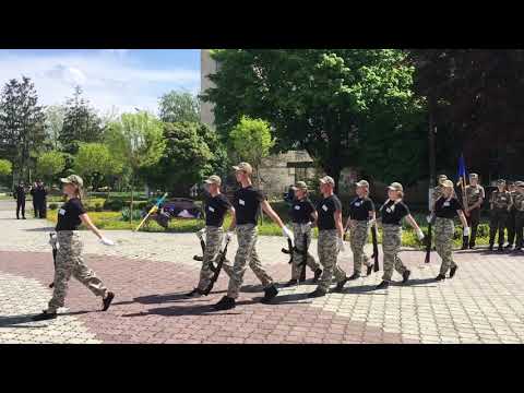 Видео: Впоряд (Творче завдання) 2019