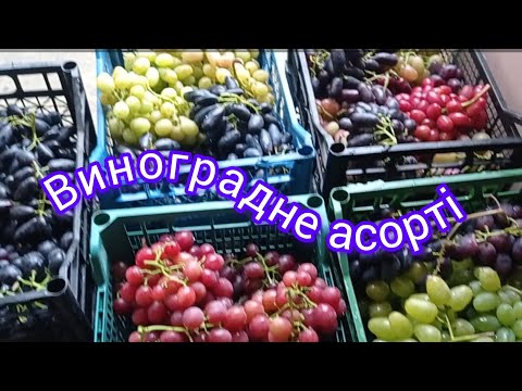Видео: Асортимент винограду.Яка ціна.🍇🍇🍇