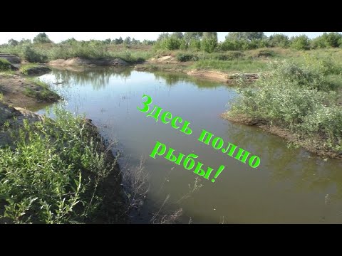Видео: В ЭТОЙ ЛУЖИ ПОЛНО РЫБЫ! Ловим на удочку!