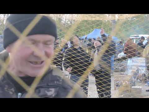 Видео: Ярмарка в г.Орел 4.10.2025.