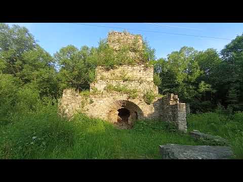 Видео: Неймовірна знахідка в Карпатах