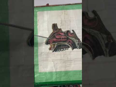 Видео: Мұрын