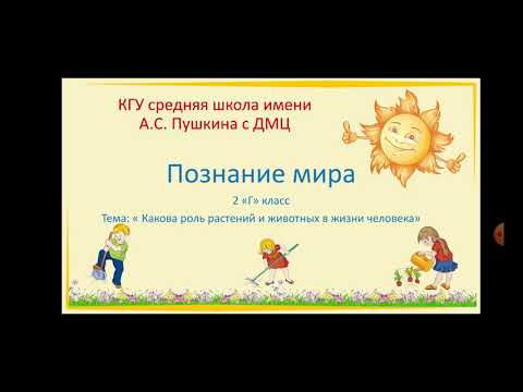 Видео: Познание мира. 2 класс. Тема: "Какова роль растений и животных в жизни человека"