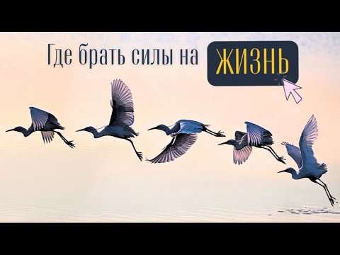 Видео: ГДЕ БРАТЬ СИЛЫ НА ЖИЗНЬ?