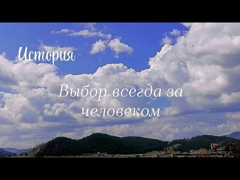 Видео: История. Выбор всегда за человеком